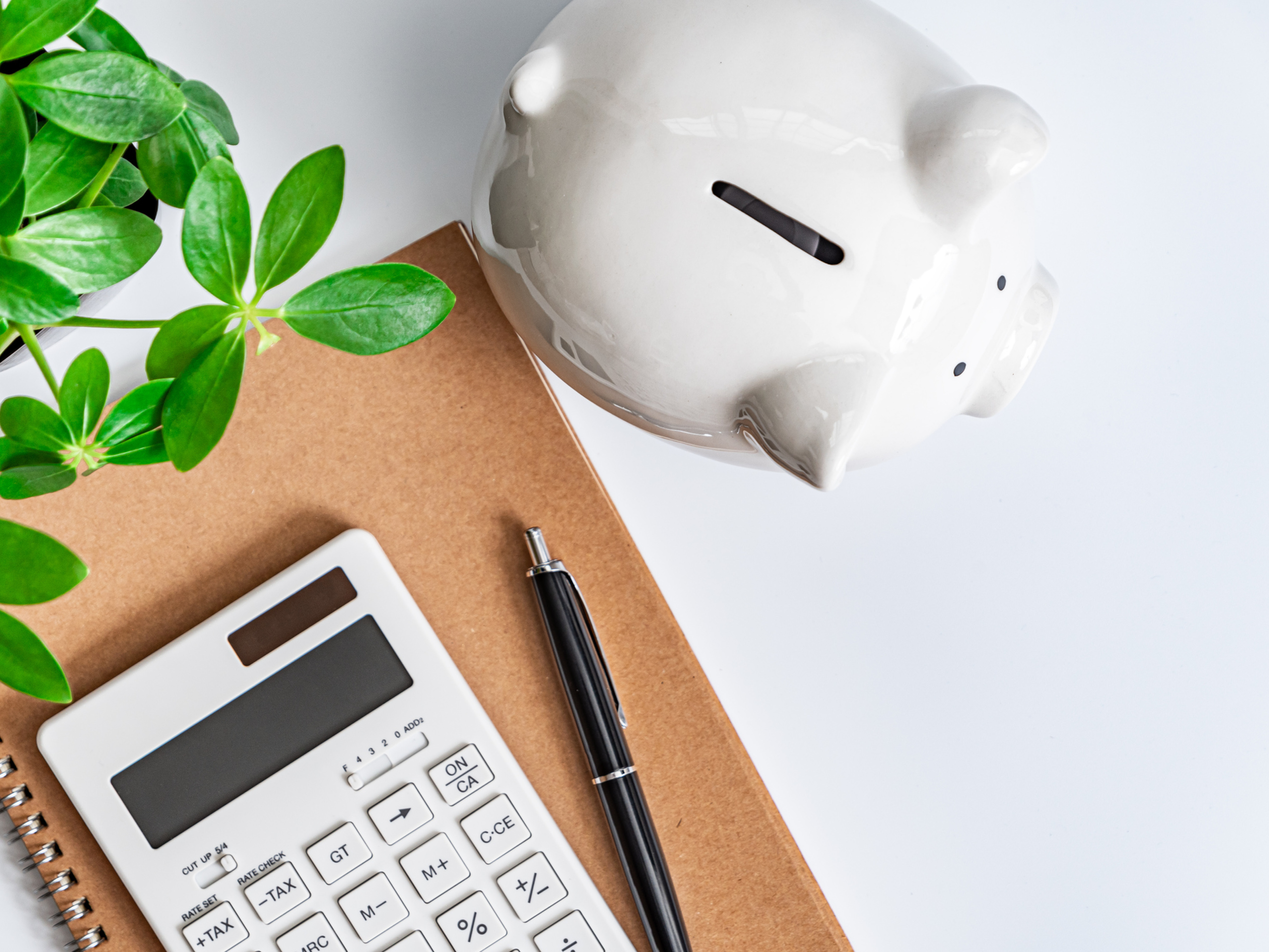 calculator piggy bank