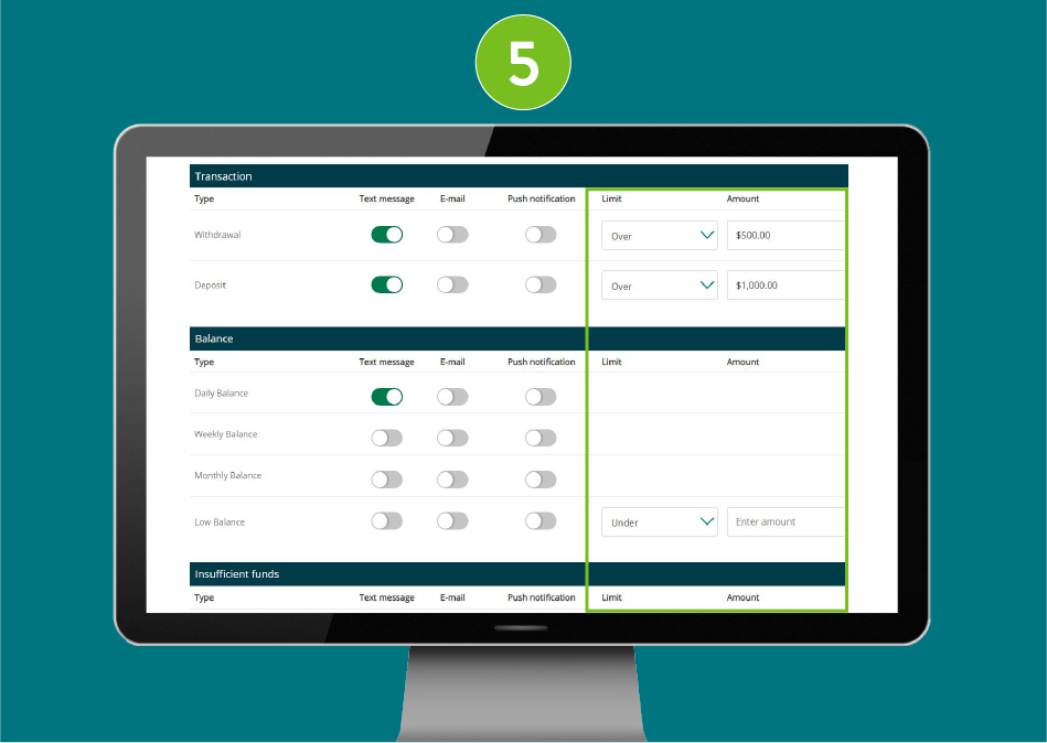 Desktop screenshot of website page with focus on specific alert requirements such as limit and amount fields.
